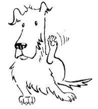 Hund mit Juckreiz