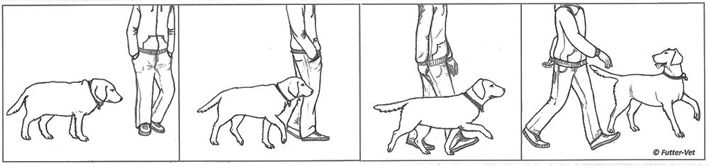 Comic Gewichtsreduktion